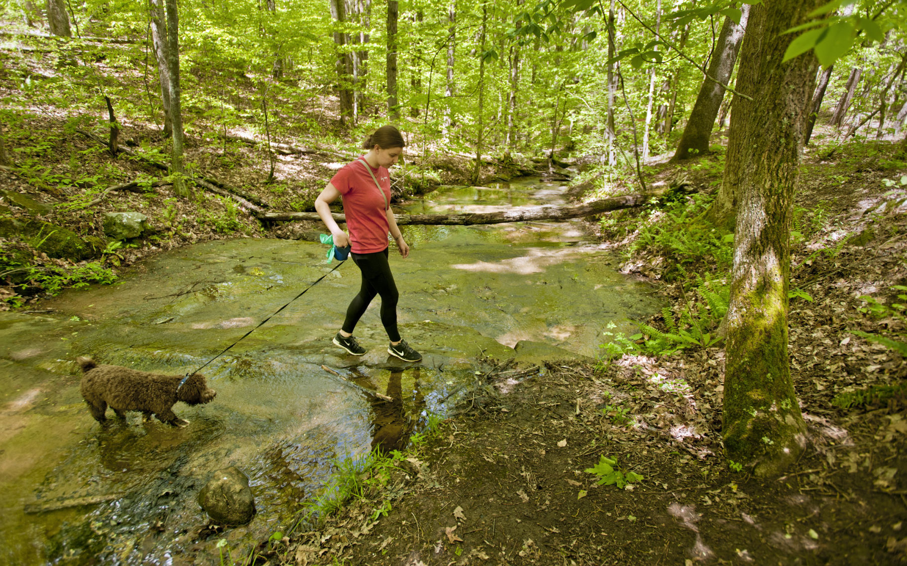 Cascades Preserve